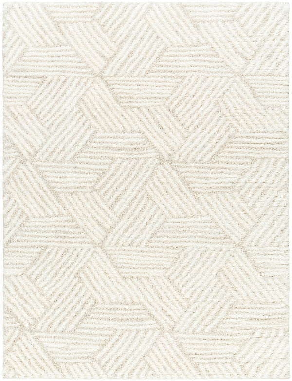 surya cloudy shag cdg 2319 light grey rug