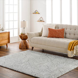 surya cloudy shag cdg 2320 light grey rug