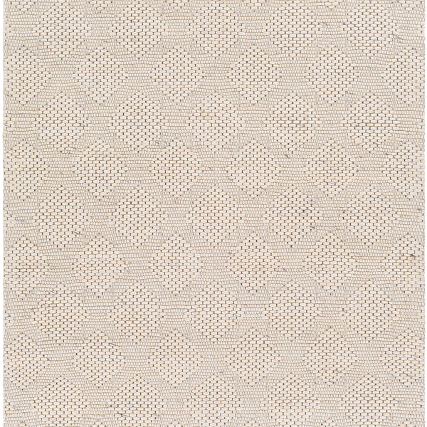 Surya Closeout Colarado CDO-2300 Cream Rug