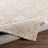 Surya Rug Co. Colarado Taupe Rug | Woven Rugs | Rugs Done Right