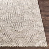 Surya Rug Co. Colarado Taupe Rug | Taupe Rugs | Rugs Done Right