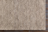 Surya Rug Co. Colarado Taupe Rug | Indian Rugs | Rugs Done Right