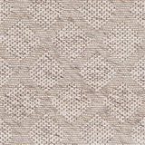 Surya Rug Co. Colarado Taupe Rug | Colarado Rugs | Rugs Done Right