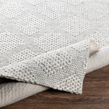 surya rug co colarado cdo 2302 ivory rug