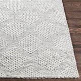 surya rug co colarado cdo 2302 ivory rug