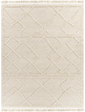 surya cadiz cdz 2303 beige rugs