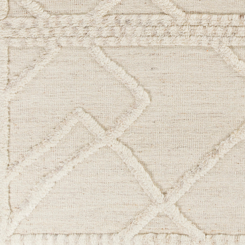 surya cadiz cdz 2303 beige rugs