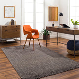 surya cecelia cei 2303 rug
