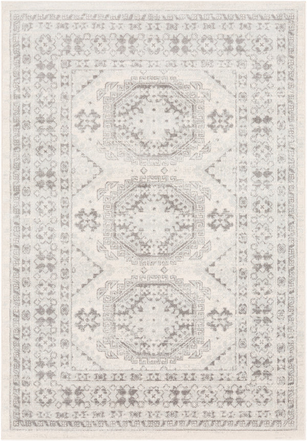 Livabliss Chester CHE-2309 Light Gray Rug