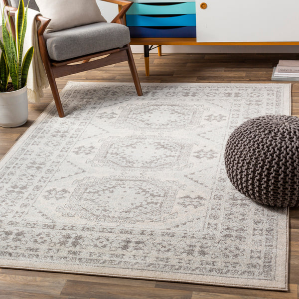 Livabliss Chester CHE-2309 Light Gray Rug