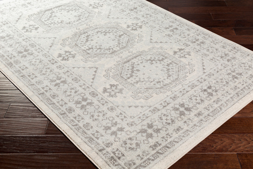 Livabliss Chester CHE-2309 Light Gray Rug