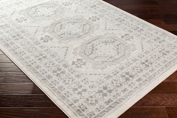 Livabliss Chester CHE-2309 Light Gray Rug