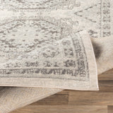 Livabliss Chester CHE-2309 Light Gray Rug