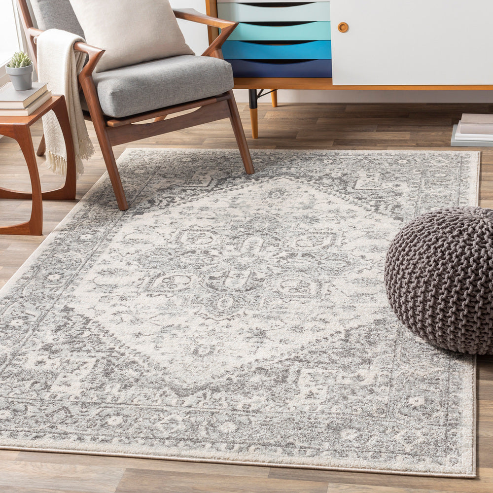 Livabliss Chester CHE-2312 Light Gray Rug