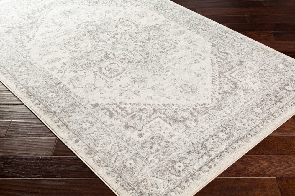 Livabliss Chester CHE-2312 Light Gray Rug