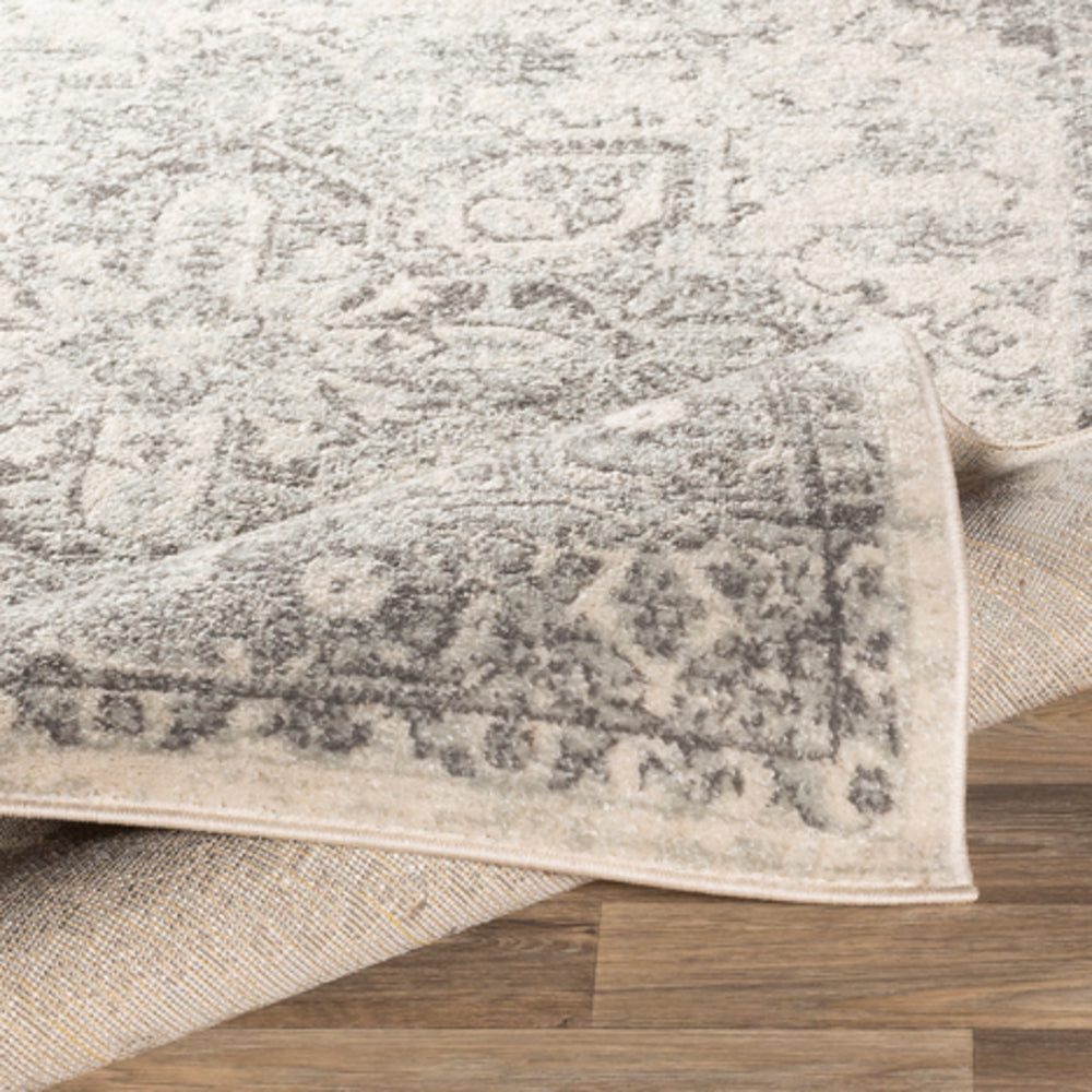 Livabliss Chester CHE-2312 Light Gray Rug