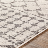 Livabliss Chester CHE-2319 Medium Gray Rug