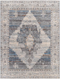 surya chicago chg 2314 taupe rug