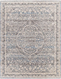 surya chicago chg 2315 taupe rug