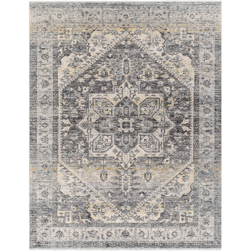 surya chicago chg 2316 taupe rug