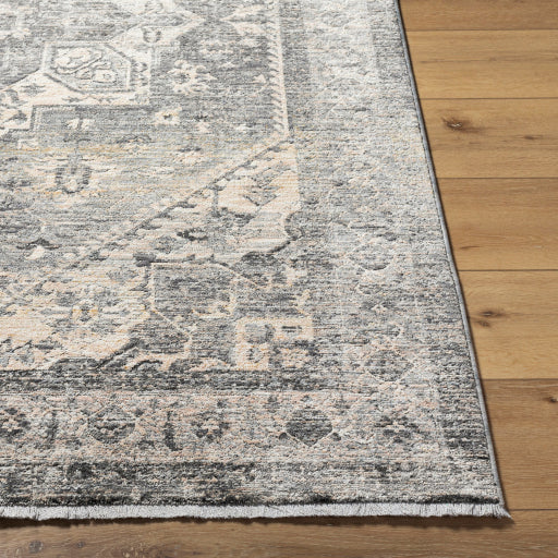 surya chicago chg 2316 taupe rug