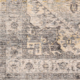 surya chicago chg 2316 taupe rug
