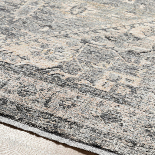 surya chicago chg 2316 taupe rug