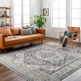 surya chicago chg 2316 taupe rug