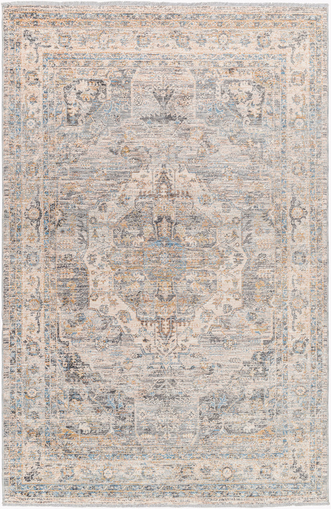 surya chicago chg 2317 taupe rug