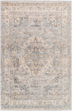 surya chicago chg 2317 taupe rug