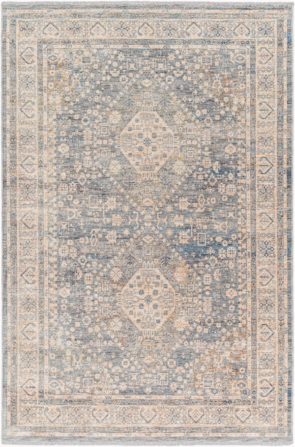 surya chicago chg 2318 taupe rug