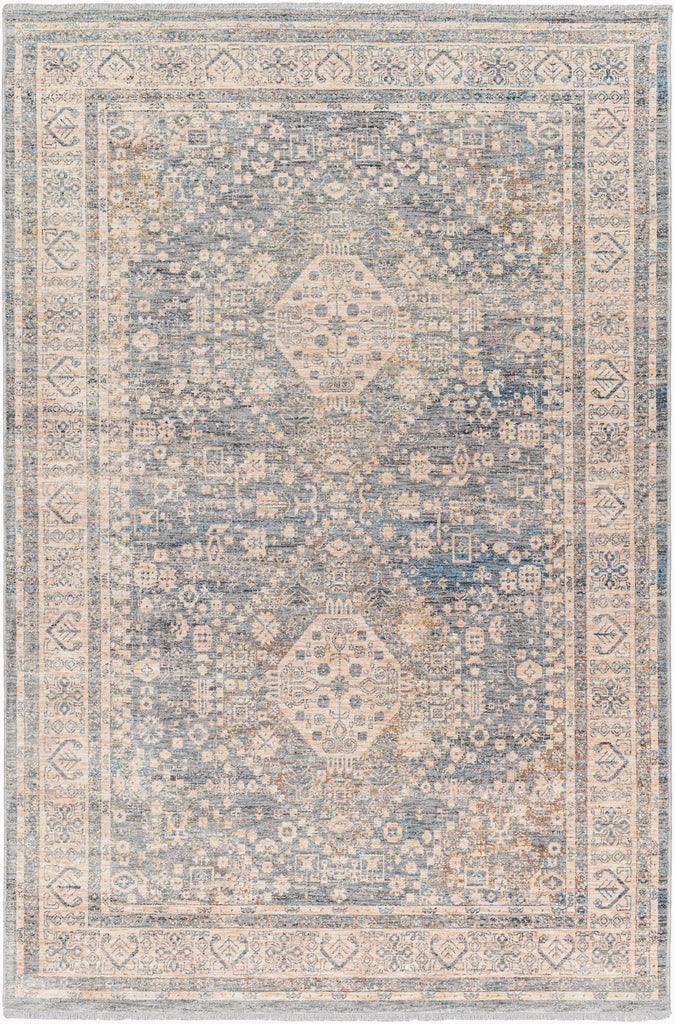 surya chicago chg 2318 taupe rug