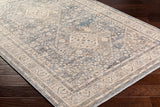 surya chicago chg 2318 taupe rug