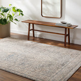 surya chicago chg 2318 taupe rug