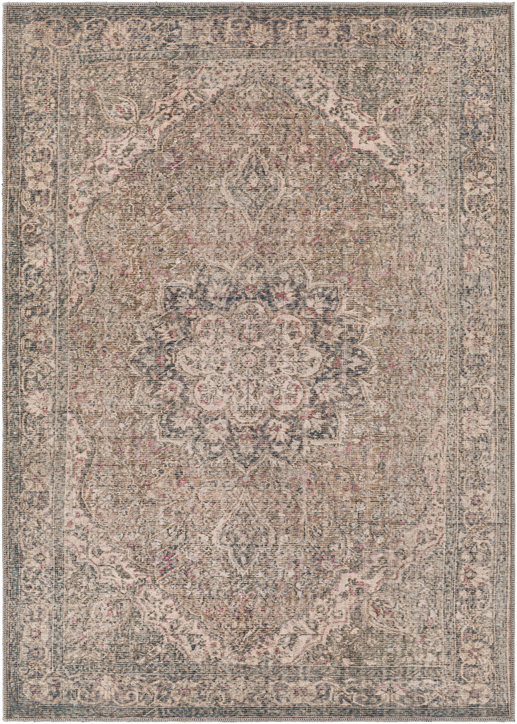 surya colin cln 2309 brown rug
