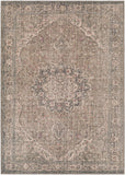 surya colin cln 2309 brown rug