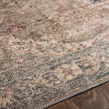 surya colin cln 2309 brown rug