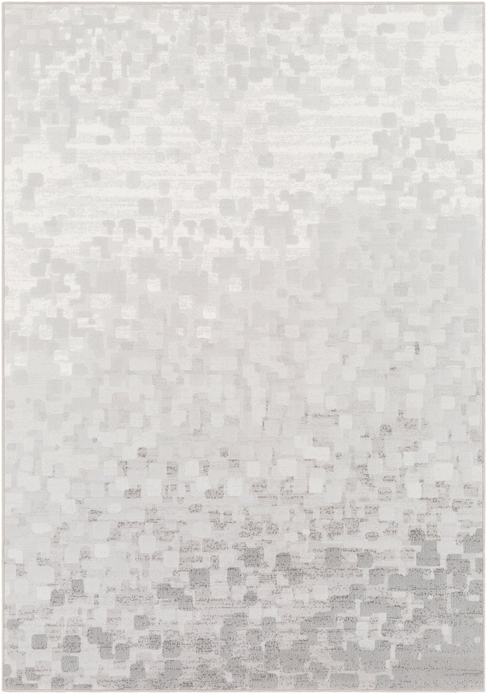 Surya Closeout Contempo CPO-3843 Light Gray Rug