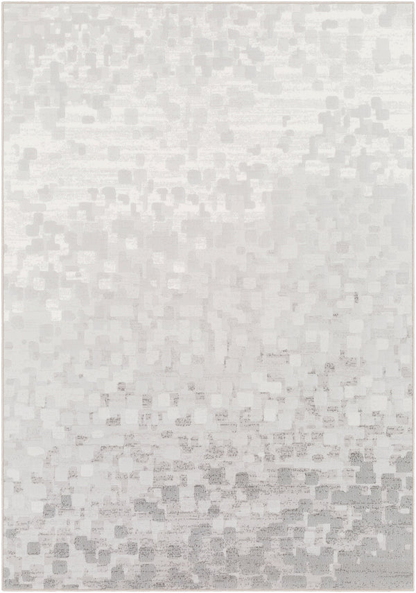 Surya Closeout Contempo CPO-3843 Light Gray Rug