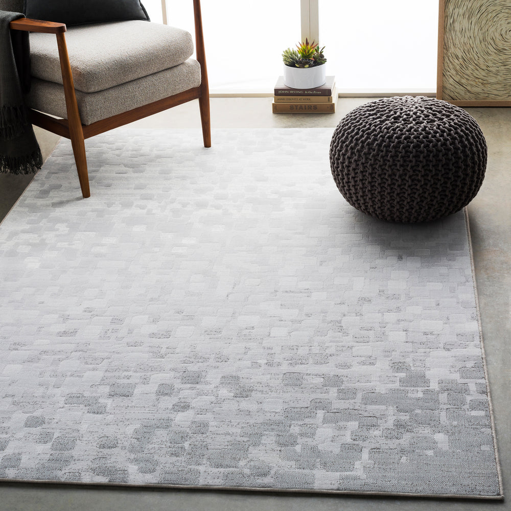 Surya Closeout Contempo CPO-3843 Light Gray Rug