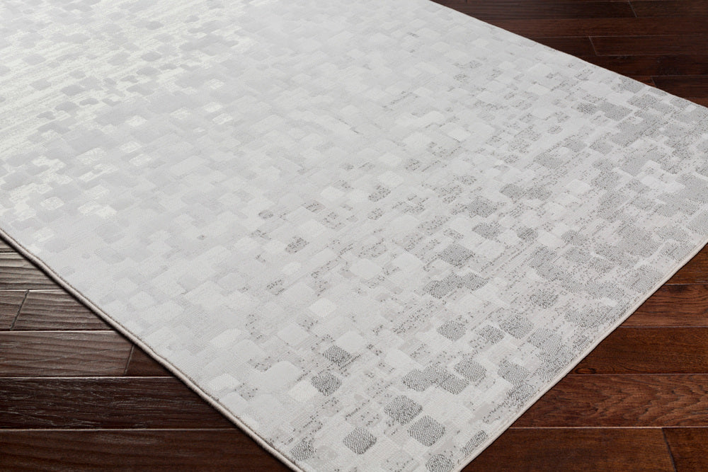 Surya Closeout Contempo CPO-3843 Light Gray Rug