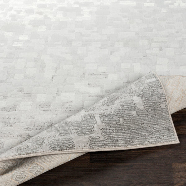 Surya Closeout Contempo CPO-3843 Light Gray Rug