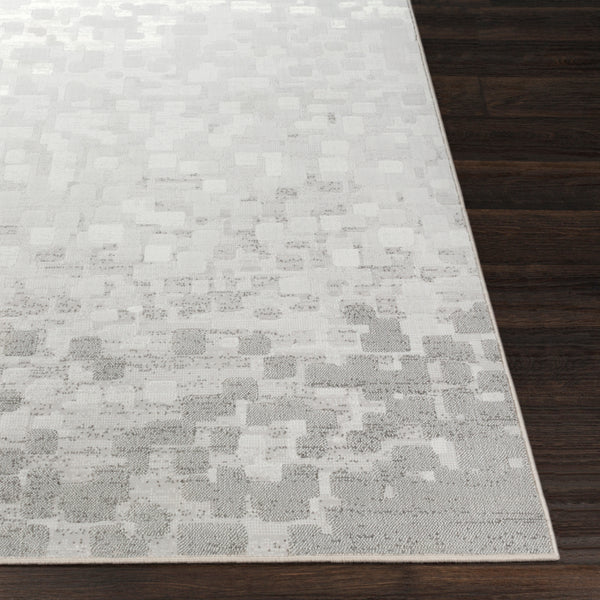 Surya Closeout Contempo CPO-3843 Light Gray Rug