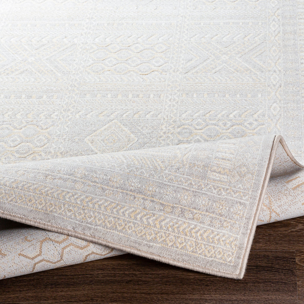 surya rug co contempo cpo 3855 light gray rug