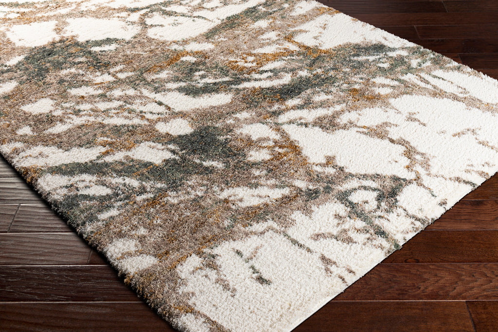surya celestial shag csg 2303 cream rug