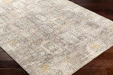 surya carlisle csi 2318 rug