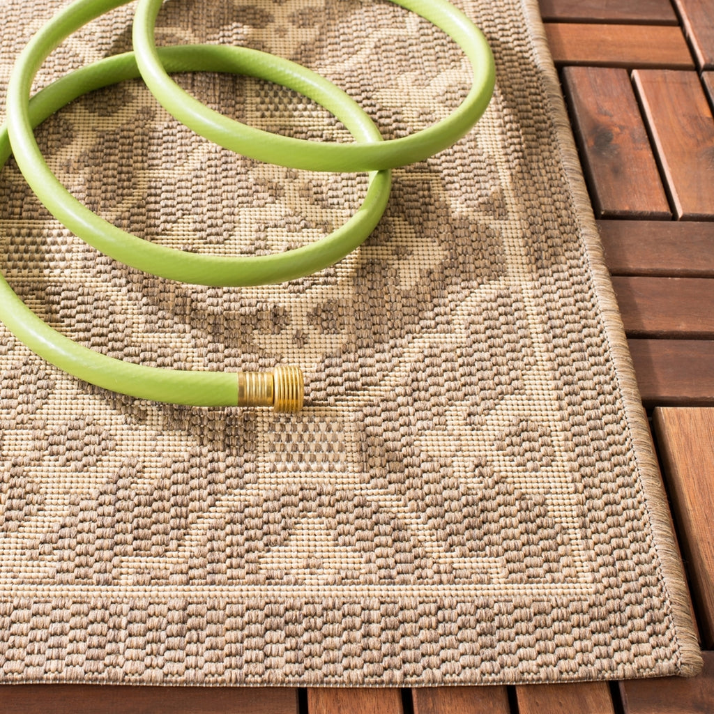 safavieh clearance courtyard cy6564 22 brown rug