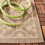 safavieh clearance courtyard cy6564 22 brown rug