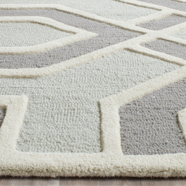 Safavieh Clearance Cambridge CAM723G Grey Rug