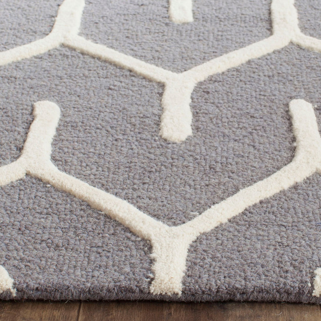 Safavieh Clearance Cambridge CAM720D Dark Grey Rug